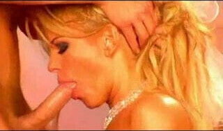 Wedding Night Fantasy.