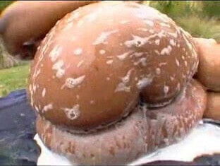 General Bushdakta Crystal Clear