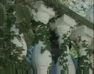 outdoor young gay bi