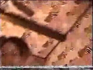 Juliana's Pregnant Striptease...F70