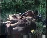 vintage danish Porno Romance (german dub)