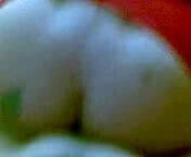 Turkish travesti doggy fucking