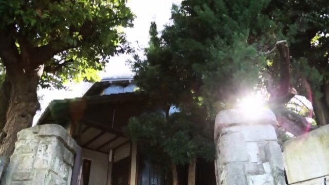 Hotjavcamcom Jux575 Husbands Friend Serina Hayakawa