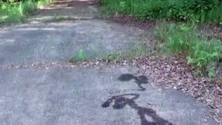 Herumgeilen in freier Natur