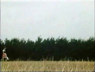 Hairy Brunette Rammed Hard