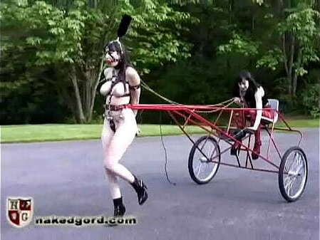 Pony Cart