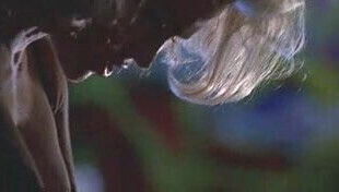 Kelly Carlson NipTuck