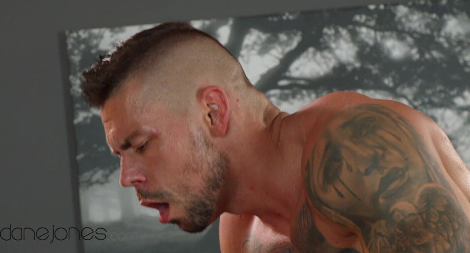 Dane Jones Ebony mistress Romy Indy gets romantic creampie