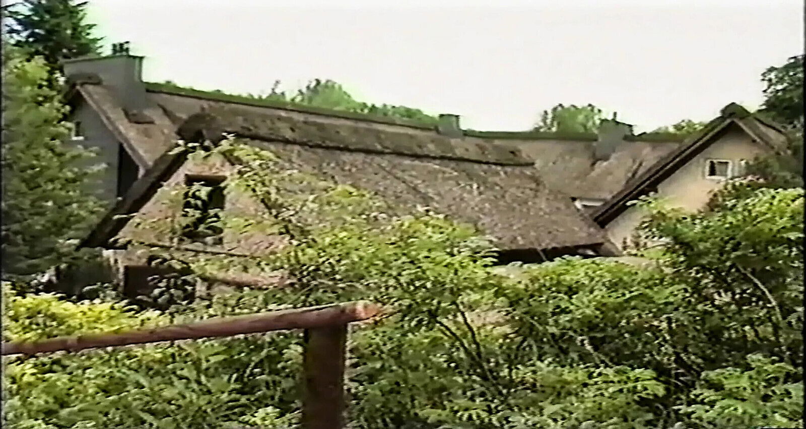 Foxy Lady's Versteckte Kamera