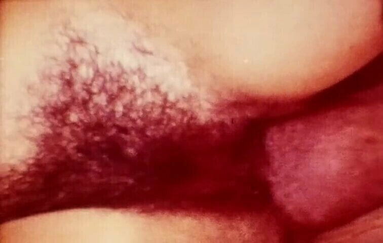 Impressions Sandra's Sultry