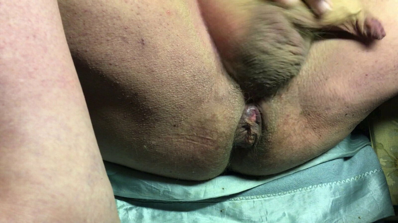 Jerking night sitting chair