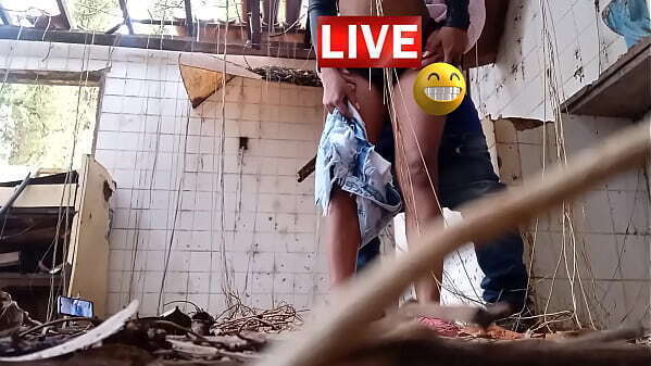 deixar primo fazer quiser comigo MANSAO