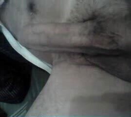 big bulgaria cuminng