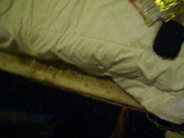 Here's some beardog dick buddy