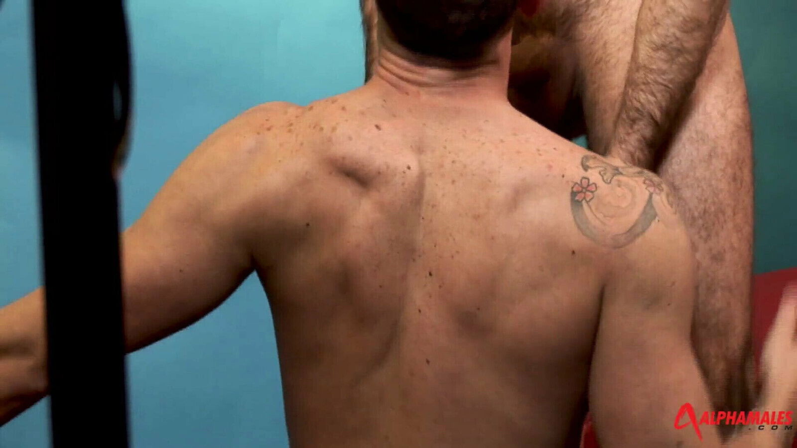 Craig Daniel Elio Guzman