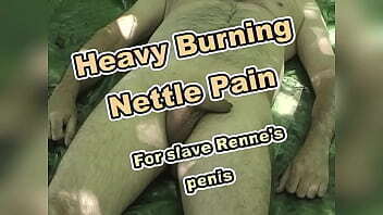 Stinging Nettles in- and outside slave Renne'_s cock