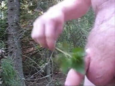 Bylting nettle sperm