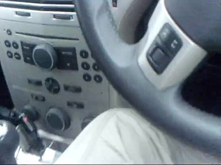 Pandora's seaside park wank