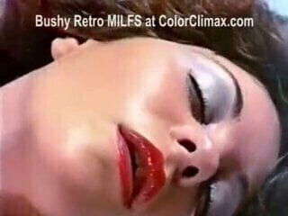 Vintage chate poilue