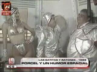 Gatitas Ratones Porcel