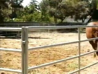 Passion Crimes Full Movie