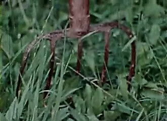 Tycoon’s Daughter Full Movie