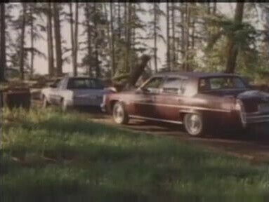 The Pleasure hunt 1984