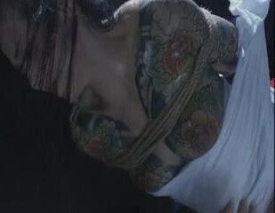 Sugimoto Japanese Beauties