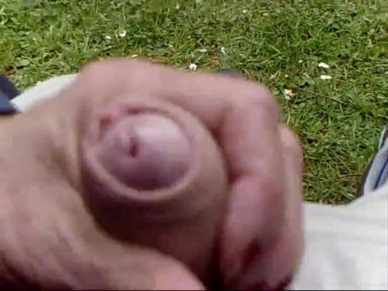 Pandora 's Public Park Harlech