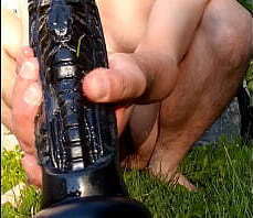 M. Hankey Alien Breeder Sunny Day