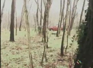 Terror Grove Full Movie