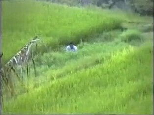 Thai banged behind scenes