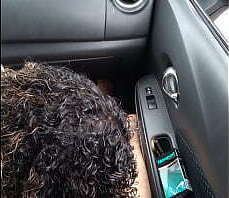 drive thru covid testing line blowjob