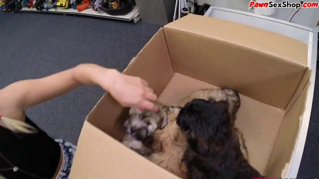 PAWG with braids gets pounded pawnshop owner