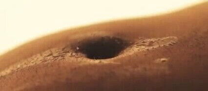 Subtle Beauty Bellybutton