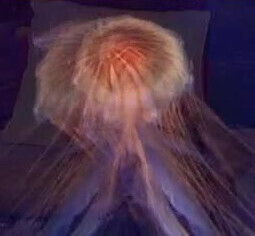 hairy beautiful explosive orgasms