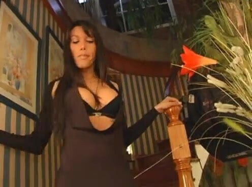 super brunette boobs busty perfect body