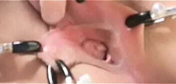 th&uacute_ vui mới 3