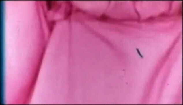 42nd SP Lillian Parker 3