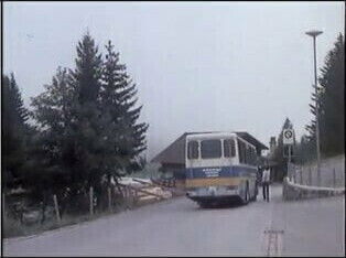 marlin, uchchatam aanand mein garm shareer