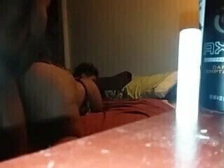 best white fucked black horse