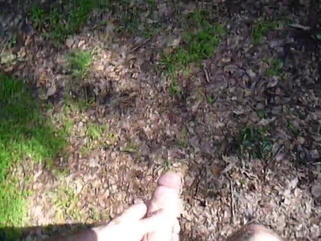 Masturbation woods