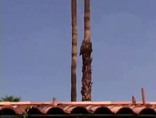 Tres desconocidos se lo montan en la calle