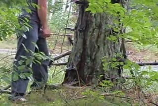 Wank by busy roadside and shoot up tree