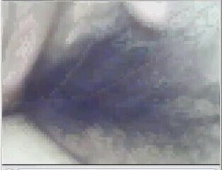 traitaothom vyreynanguyen hair pussy 