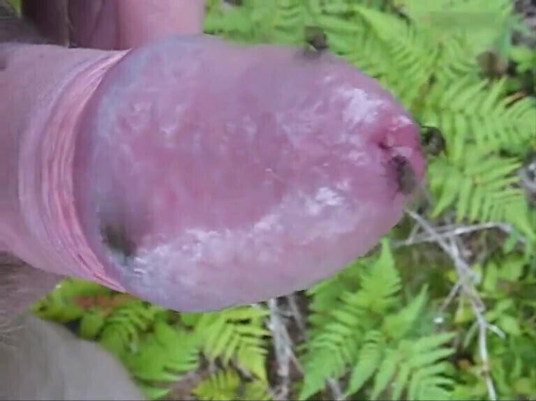 Nettle forever by Bylting