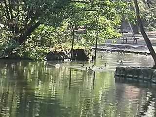 Japanese wife husband girl fuck-uncencored (MrNo)