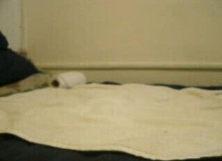 a wanking when while watch xhamster.... no cum