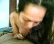 malay (the colleagues)