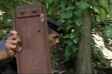 College Jungle Studs